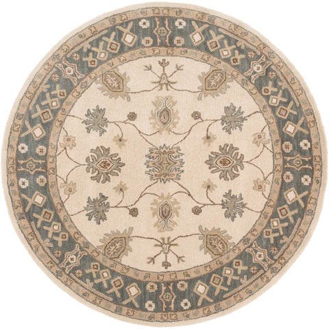 Image of Surya Middleton Traditional Khaki, Teal, Tan, Dark Brown, Sea Foam Rugs AWHR-2050