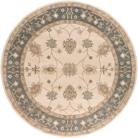 Image of Surya Middleton Traditional Khaki, Teal, Tan, Dark Brown, Sea Foam Rugs AWHR-2050