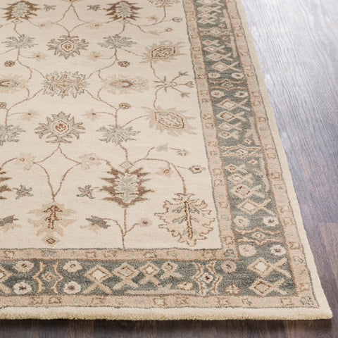 Image of Surya Middleton Traditional Khaki, Teal, Tan, Dark Brown, Sea Foam Rugs AWHR-2050