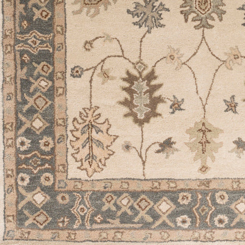 Image of Surya Middleton Traditional Khaki, Teal, Tan, Dark Brown, Sea Foam Rugs AWHR-2050