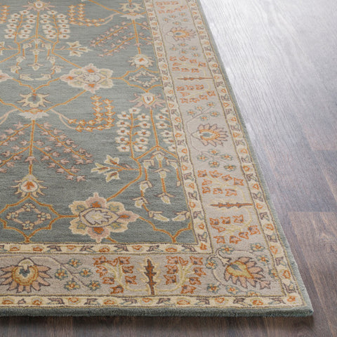 Image of Surya Middleton Traditional Teal, Taupe, Cream, Olive, Camel, Charcoal, Dark Green Rugs AWMD-2242