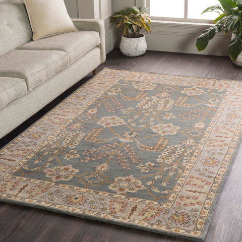 Image of Surya Middleton Traditional Teal, Taupe, Cream, Olive, Camel, Charcoal, Dark Green Rugs AWMD-2242