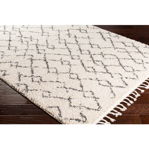 Image of Surya Berber Shag Global Charcoal, Beige Rugs BBE-2301