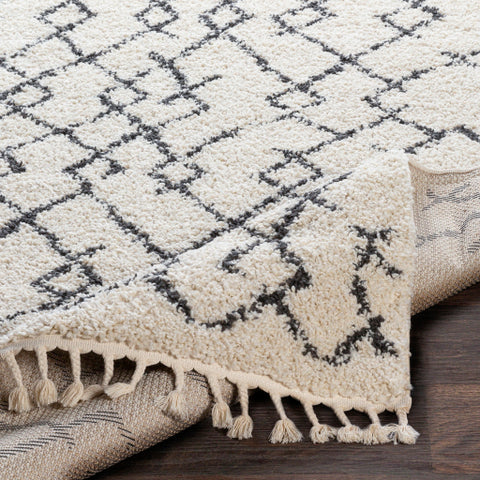 Image of Surya Berber Shag Global Charcoal, Beige Rugs BBE-2301