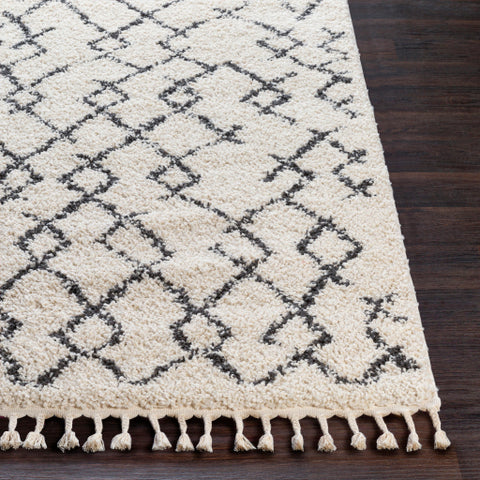 Image of Surya Berber Shag Global Charcoal, Beige Rugs BBE-2301