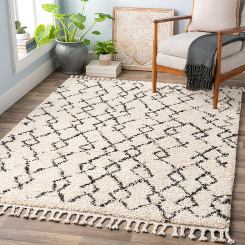 Image of Surya Berber Shag Global Charcoal, Beige Rugs BBE-2301