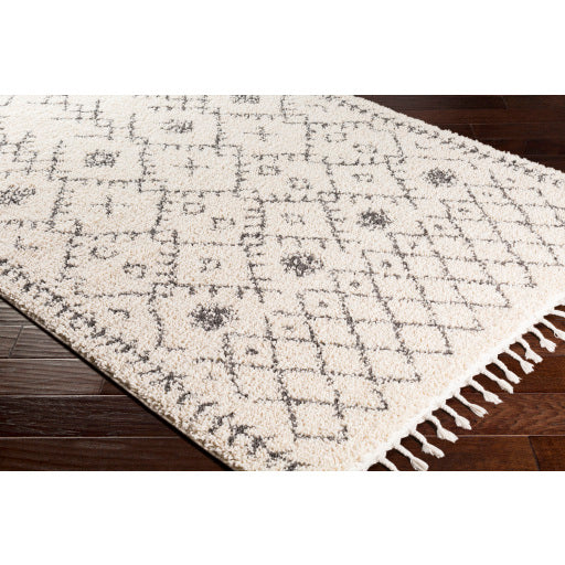 Surya Berber Shag Global Charcoal, Beige Rugs BBE-2302