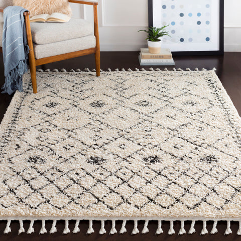 Image of Surya Berber Shag Global Charcoal, Beige Rugs BBE-2302