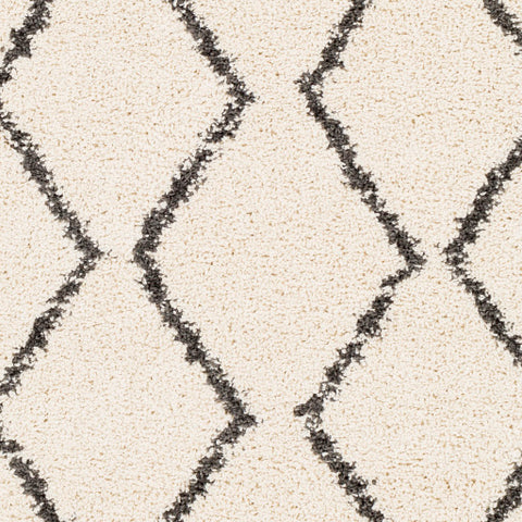 Image of Surya Berber Shag Global Charcoal, Beige Rugs BBE-2303