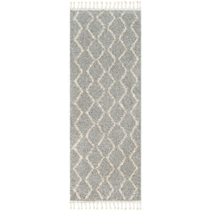 Surya Berber Shag Global Light Gray, Beige Rugs BBE-2304