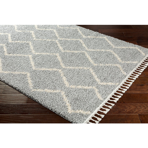 Image of Surya Berber Shag Global Light Gray, Beige Rugs BBE-2304