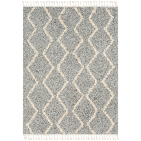 Image of Surya Berber Shag Global Light Gray, Beige Rugs BBE-2304