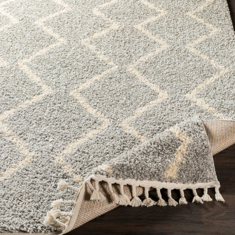 Image of Surya Berber Shag Global Light Gray, Beige Rugs BBE-2304