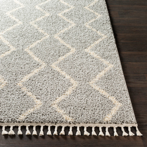 Image of Surya Berber Shag Global Light Gray, Beige Rugs BBE-2304