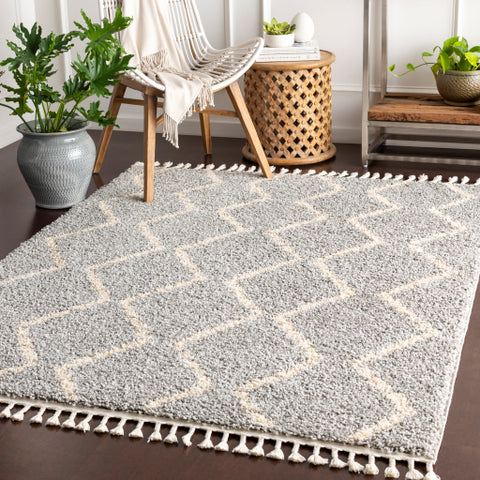 Image of Surya Berber Shag Global Light Gray, Beige Rugs BBE-2304