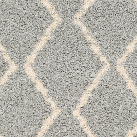 Image of Surya Berber Shag Global Light Gray, Beige Rugs BBE-2304