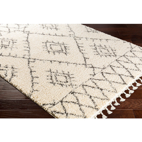 Image of Surya Berber Shag Global Charcoal, Beige Rugs BBE-2305