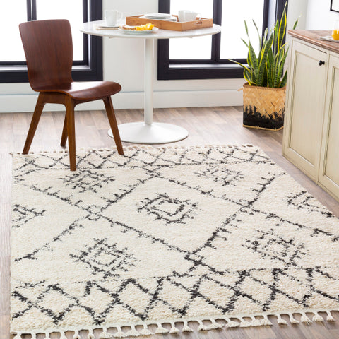 Image of Surya Berber Shag Global Charcoal, Beige Rugs BBE-2305