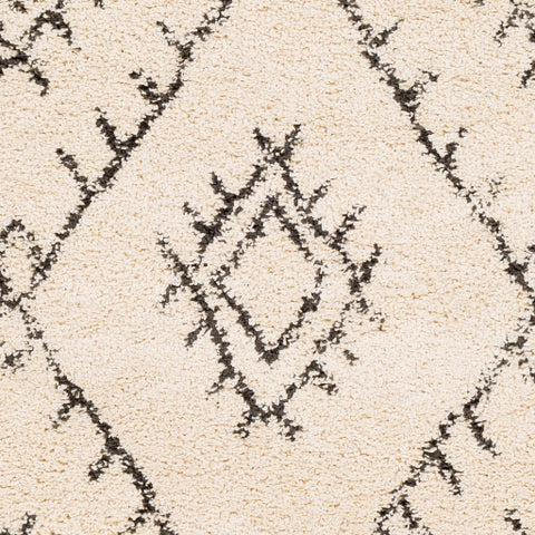 Image of Surya Berber Shag Global Charcoal, Beige Rugs BBE-2305