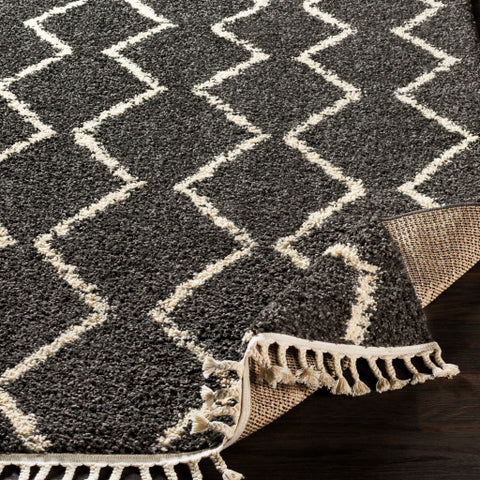 Image of Surya Berber Shag Global Charcoal, Beige Rugs BBE-2306