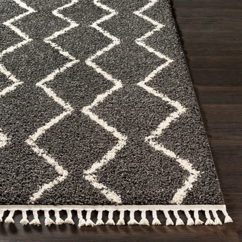 Image of Surya Berber Shag Global Charcoal, Beige Rugs BBE-2306