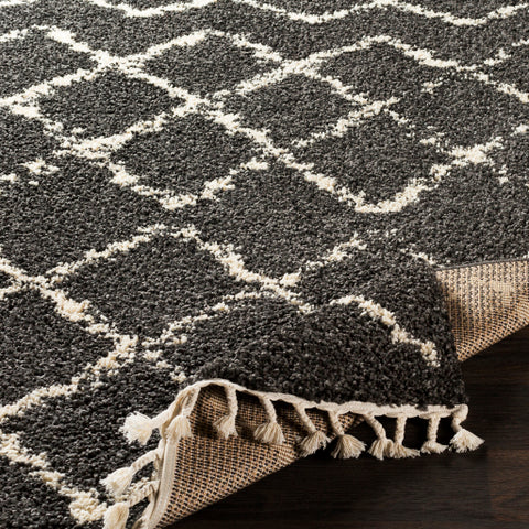 Image of Surya Berber Shag Global Charcoal, Beige Rugs BBE-2307