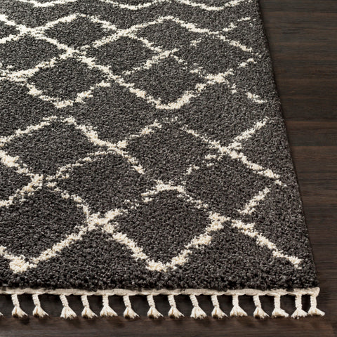 Image of Surya Berber Shag Global Charcoal, Beige Rugs BBE-2307