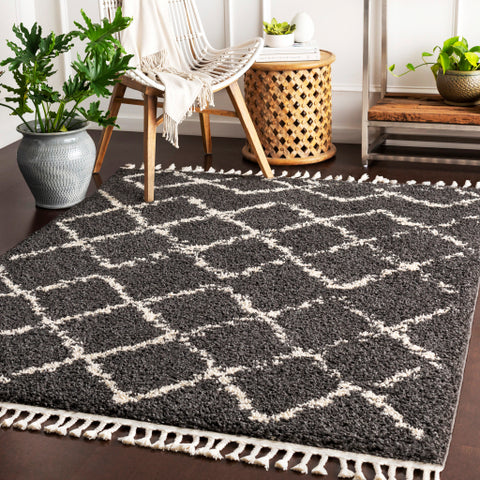 Image of Surya Berber Shag Global Charcoal, Beige Rugs BBE-2307