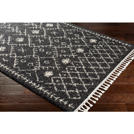 Surya Berber Shag Global Charcoal, Beige Rugs BBE-2308