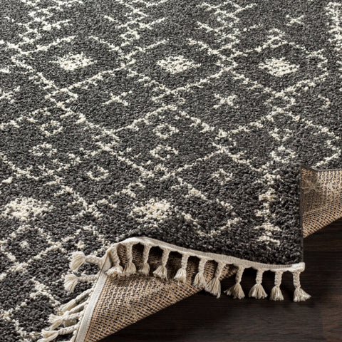 Image of Surya Berber Shag Global Charcoal, Beige Rugs BBE-2308