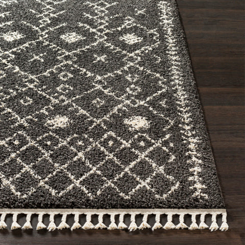 Image of Surya Berber Shag Global Charcoal, Beige Rugs BBE-2308