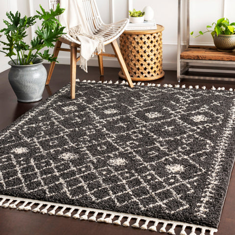 Image of Surya Berber Shag Global Charcoal, Beige Rugs BBE-2308