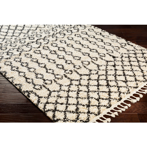 Surya Berber Shag Global Charcoal, Beige Rugs BBE-2309