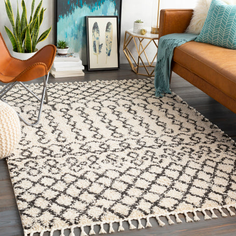 Image of Surya Berber Shag Global Charcoal, Beige Rugs BBE-2309