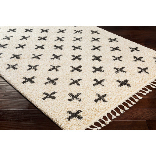 Surya Berber Shag Global Charcoal, Beige Rugs BBE-2310