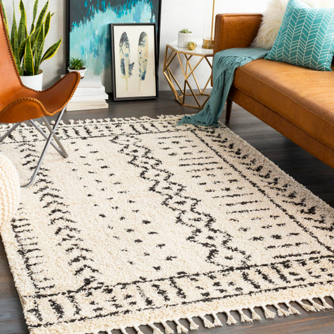 Image of Surya Berber Shag Global Charcoal, Beige Rugs BBE-2311