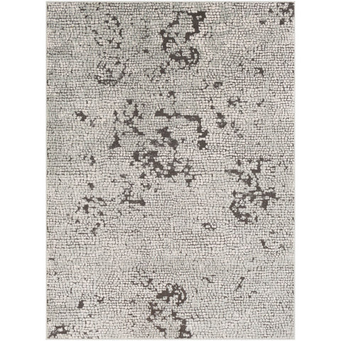 Image of Surya Bahar Modern Taupe, Charcoal, Beige, Medium Gray Rugs BHR-2301