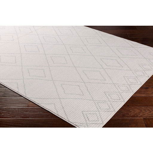 Surya Bahar Global Taupe, Beige Rugs BHR-2302