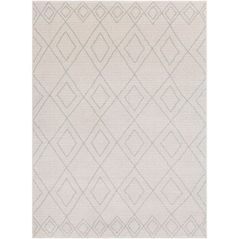 Image of Surya Bahar Global Taupe, Beige Rugs BHR-2302