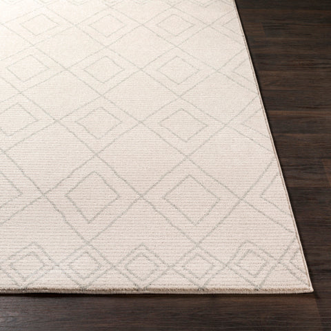 Image of Surya Bahar Global Taupe, Beige Rugs BHR-2302