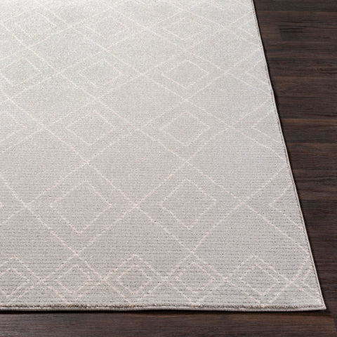 Image of Surya Bahar Global Taupe, Beige, Charcoal Rugs BHR-2303