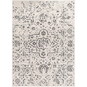 Surya Bahar Traditional Charcoal, Medium Gray, Beige, Taupe Rugs BHR-2305