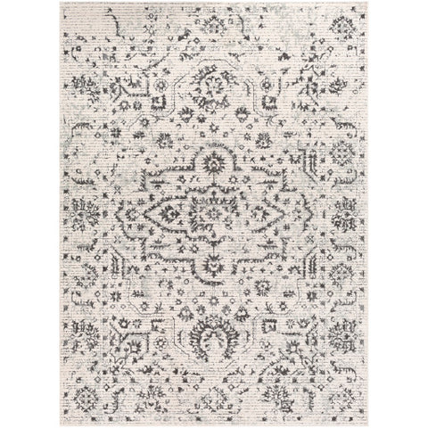 Image of Surya Bahar Traditional Charcoal, Medium Gray, Beige, Taupe Rugs BHR-2305