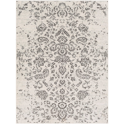 Image of Surya Bahar Traditional Taupe, Beige, Charcoal Rugs BHR-2306