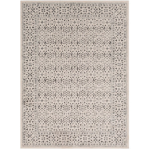 Surya Bahar Traditional Medium Gray, Charcoal, Beige Rugs BHR-2308