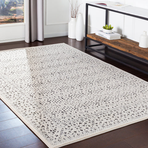 Image of Surya Bahar Traditional Medium Gray, Charcoal, Beige Rugs BHR-2308