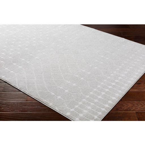 Surya Bahar Global Taupe, Beige Rugs BHR-2313