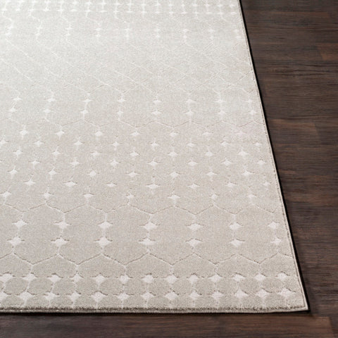 Image of Surya Bahar Global Taupe, Beige Rugs BHR-2313