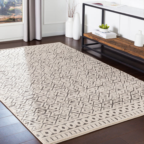 Image of Surya Bahar Global Medium Gray, Charcoal, Beige Rugs BHR-2315