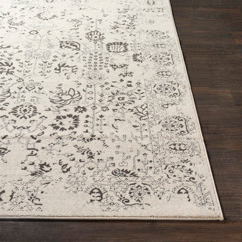 Image of Surya Bahar Traditional Charcoal, Taupe, Beige Rugs BHR-2317